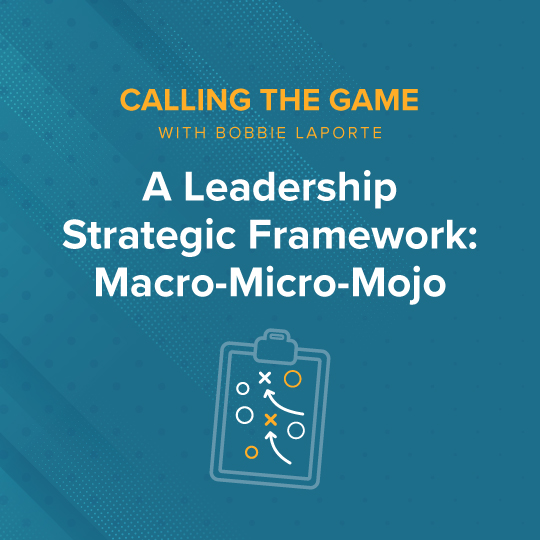 A Leadership Strategic Framework: Macro-Micro-Mojo